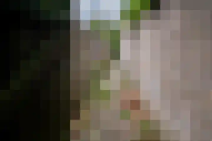 Horteler 7 Zevenaar thumbnail 21