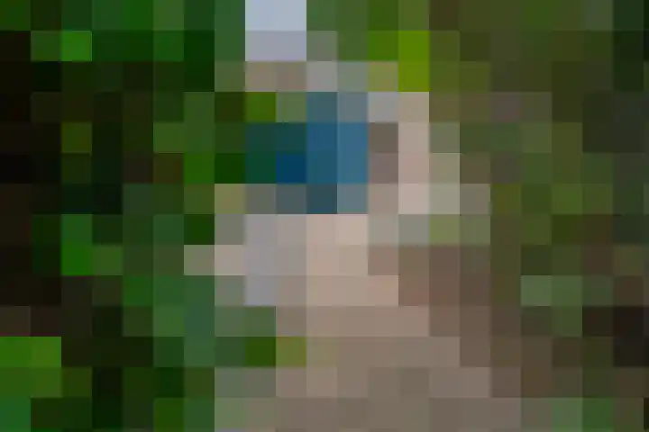 Horteler 7 Zevenaar thumbnail 22