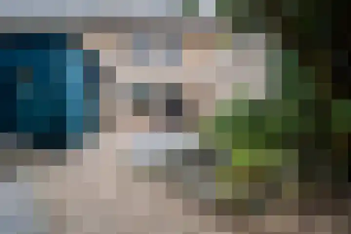 Horteler 7 Zevenaar thumbnail 24
