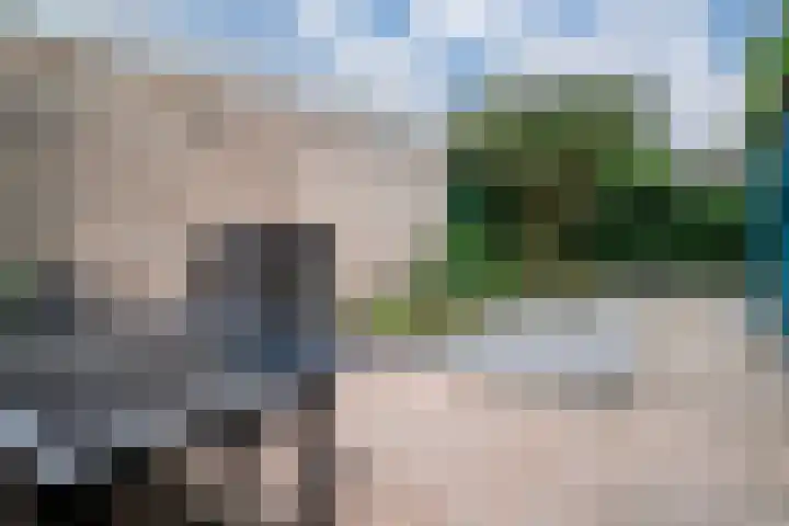 Horteler 7 Zevenaar thumbnail 26