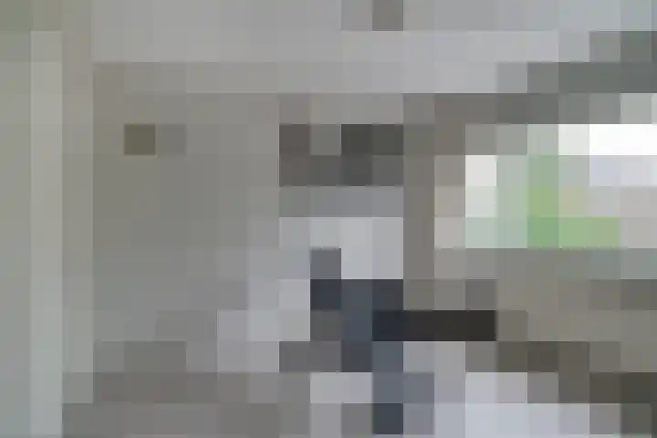 Horteler 7 Zevenaar thumbnail 30