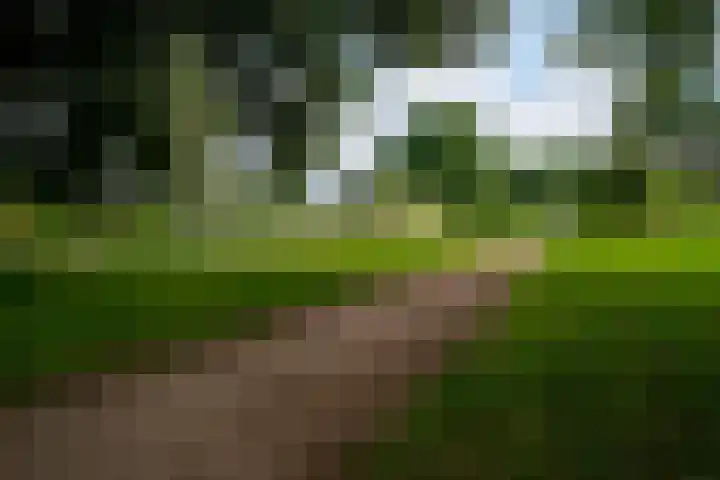 Horteler 7 Zevenaar thumbnail 44