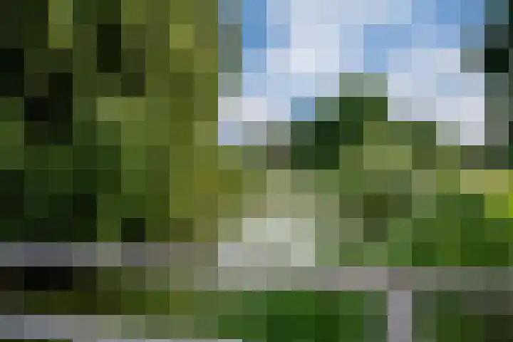 Horteler 7 Zevenaar thumbnail 45