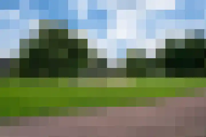 Horteler 7 Zevenaar thumbnail 47