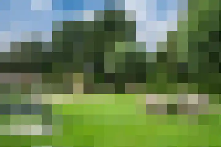 Horteler 7 Zevenaar thumbnail 48