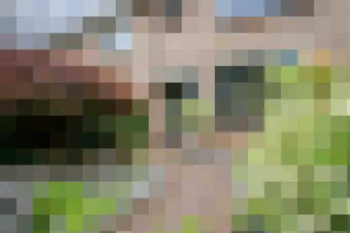 Horteler 7 Zevenaar thumbnail 5