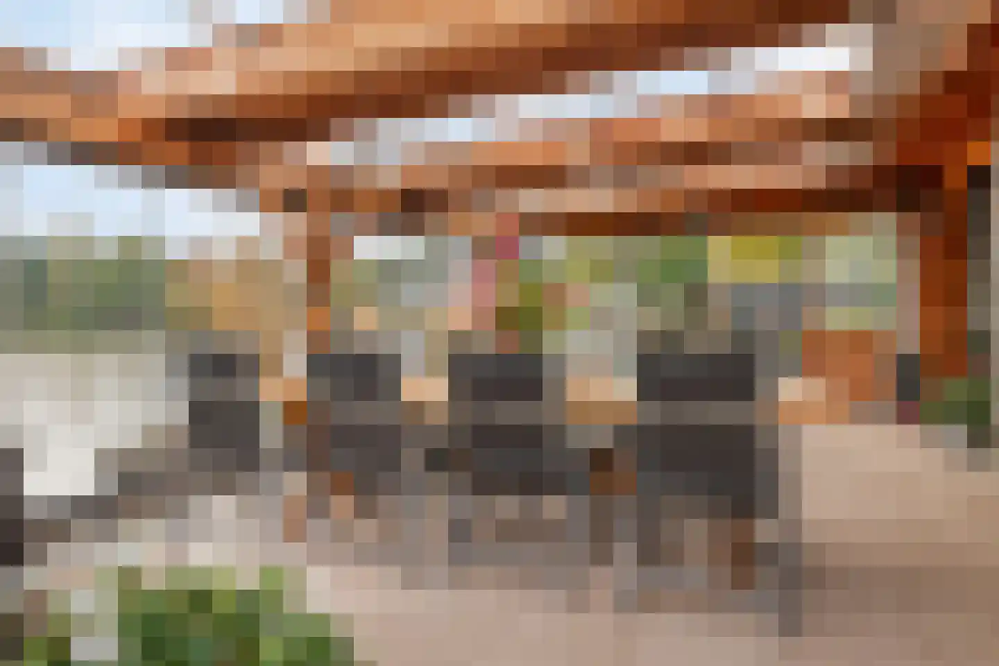 Hortemansdijk 6 Reeuwijk thumbnail 12