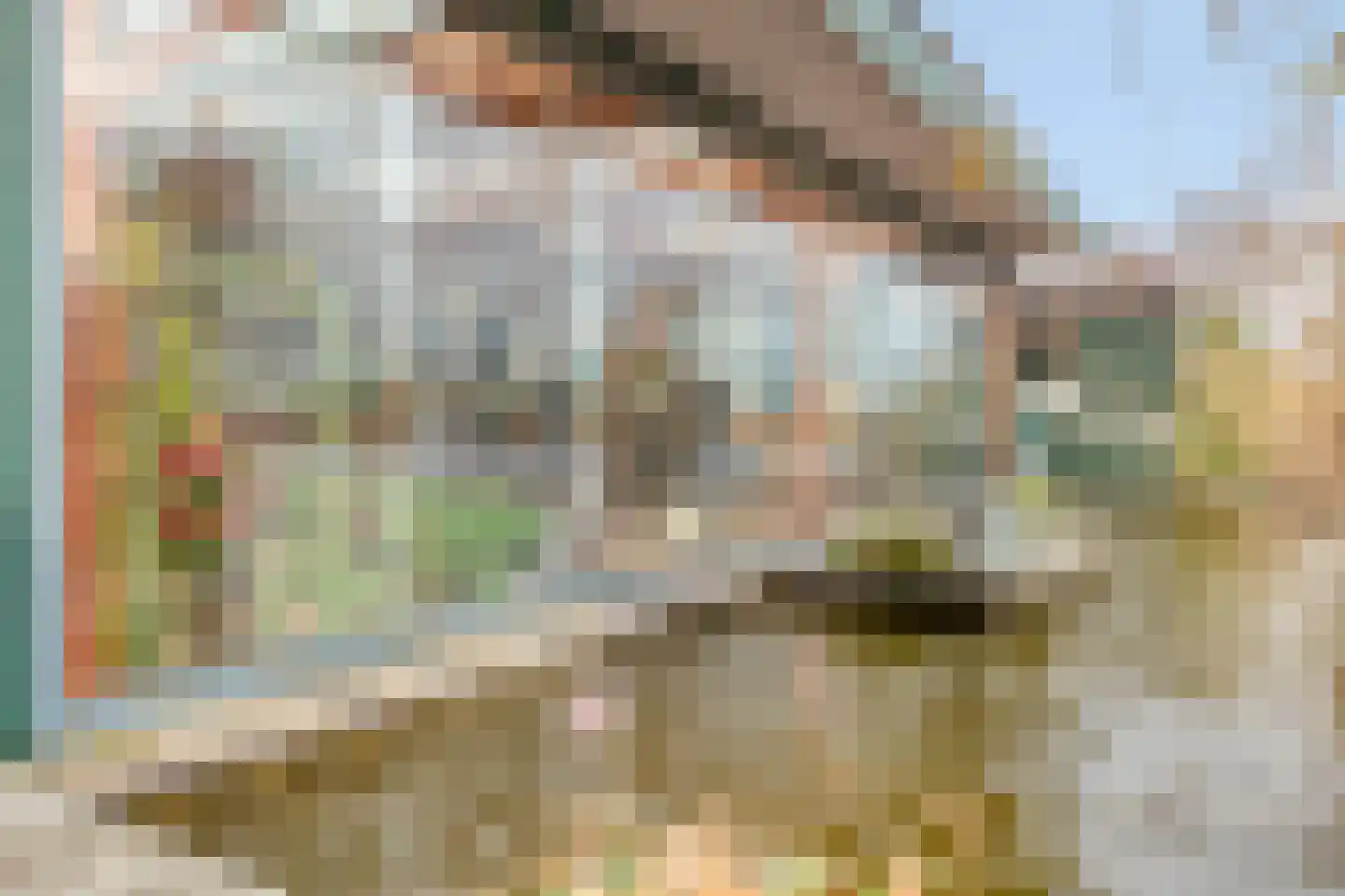 Hortemansdijk 6 Reeuwijk thumbnail 32