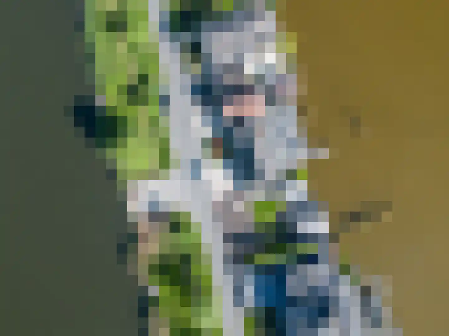 Hortemansdijk 6 Reeuwijk thumbnail 4