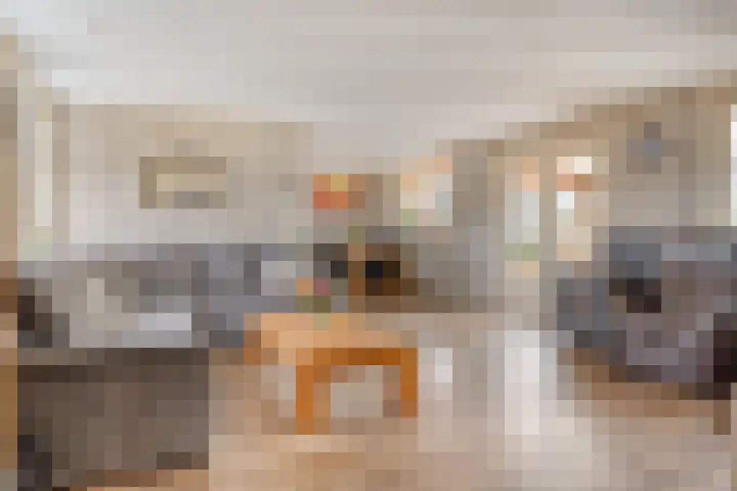 Hortemansdijk 6 Reeuwijk thumbnail 8