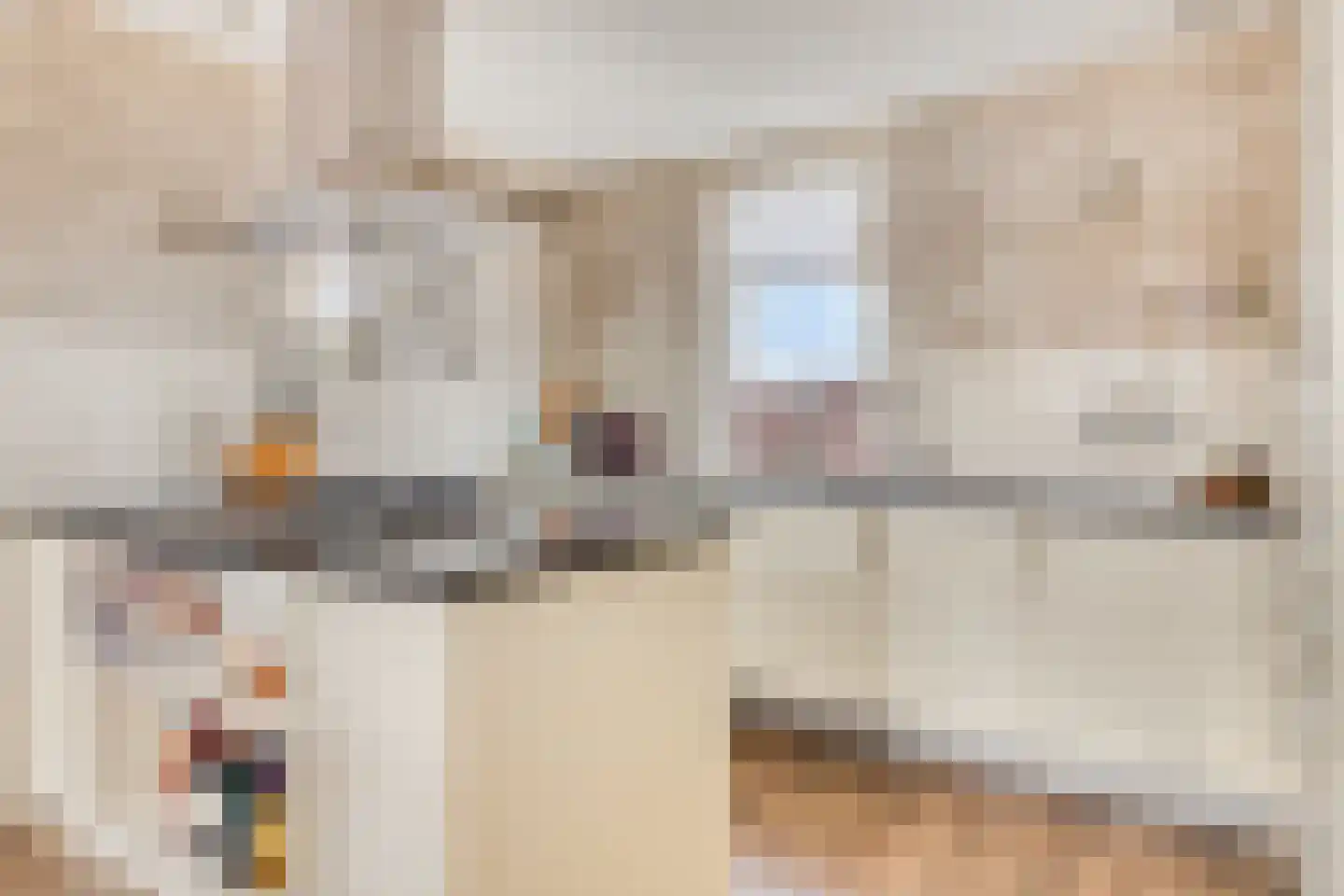 Hortemansdijk 6 Reeuwijk thumbnail 8