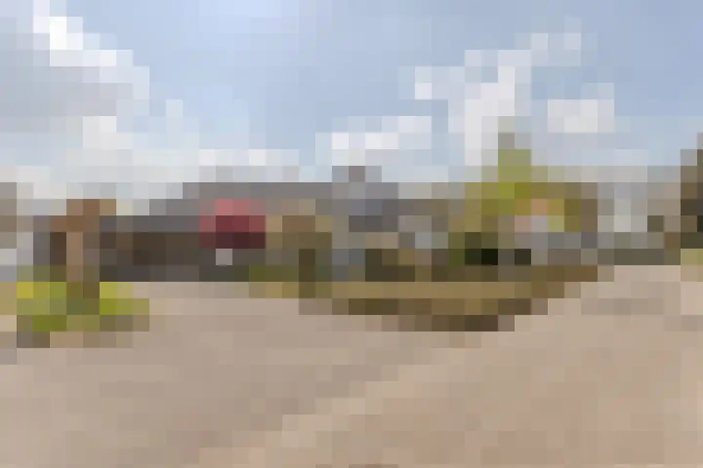 Hortensia 10 in Valkenswaard