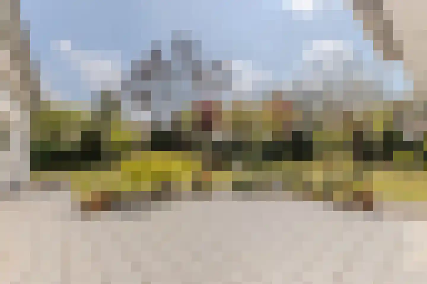 Hortensia 10 Valkenswaard thumbnail 30