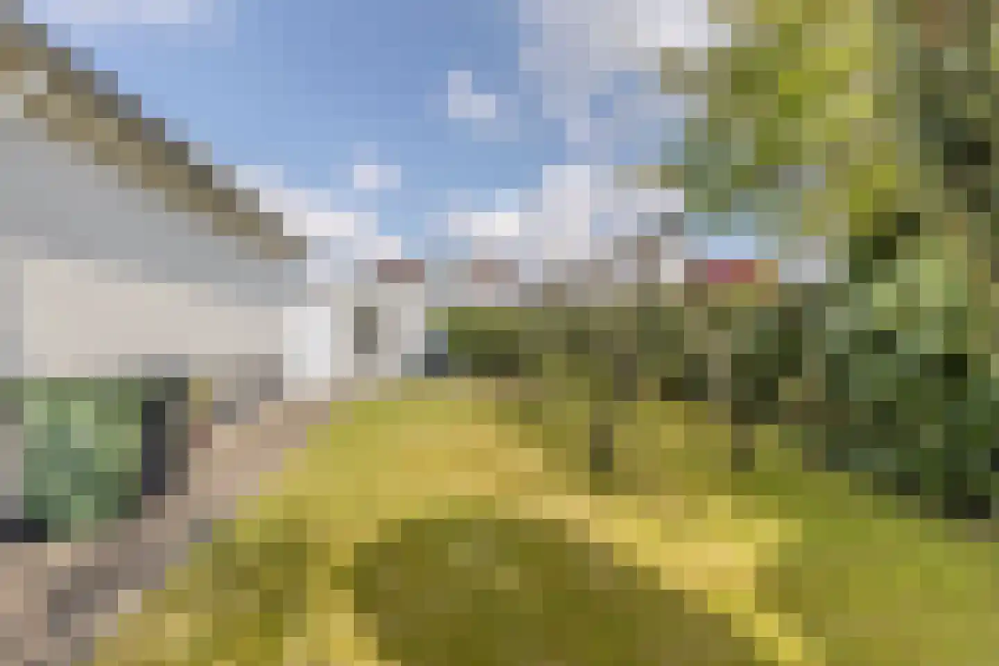 Hortensia 10 Valkenswaard thumbnail 32