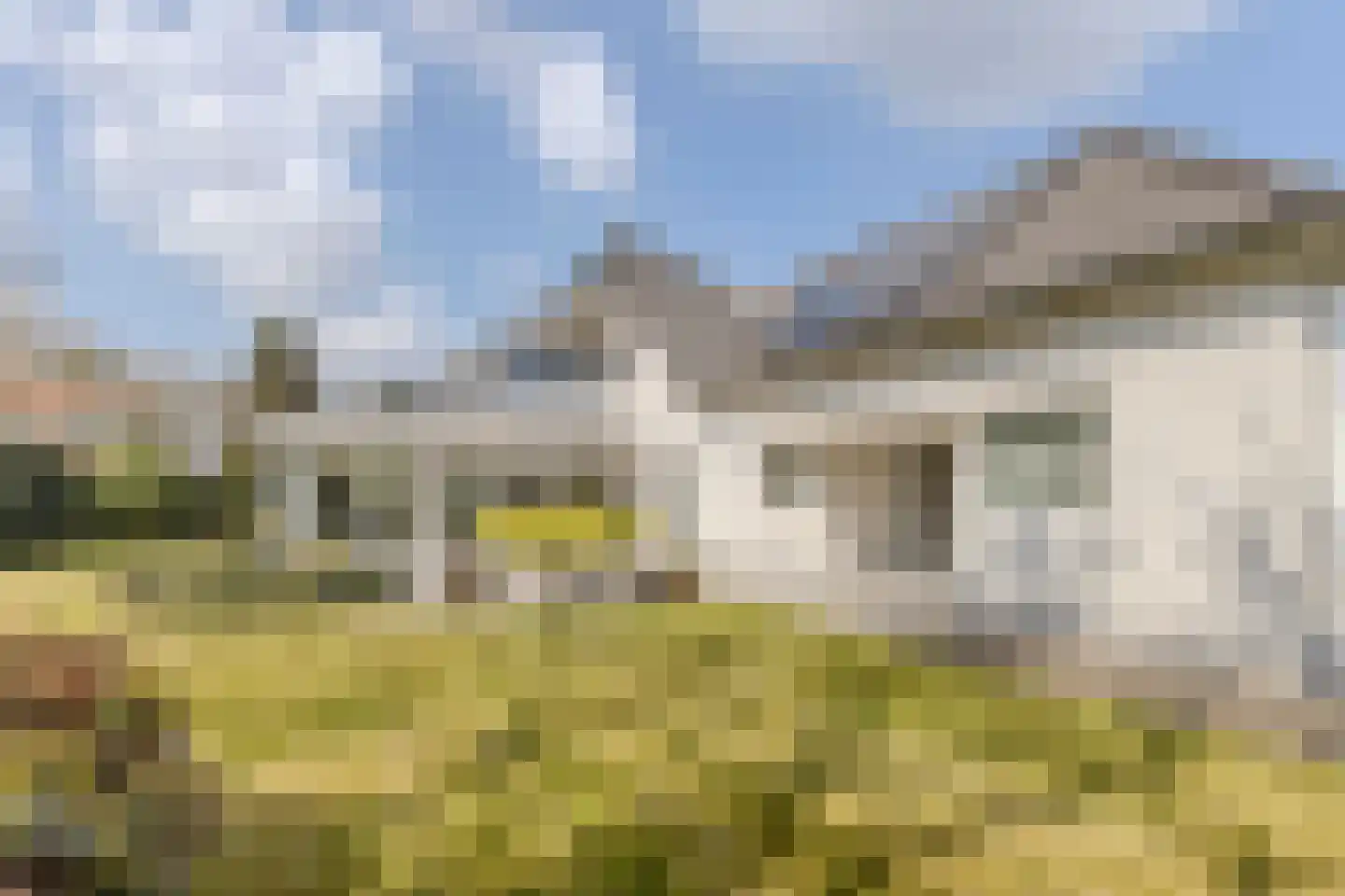 Hortensia 10 Valkenswaard thumbnail 33