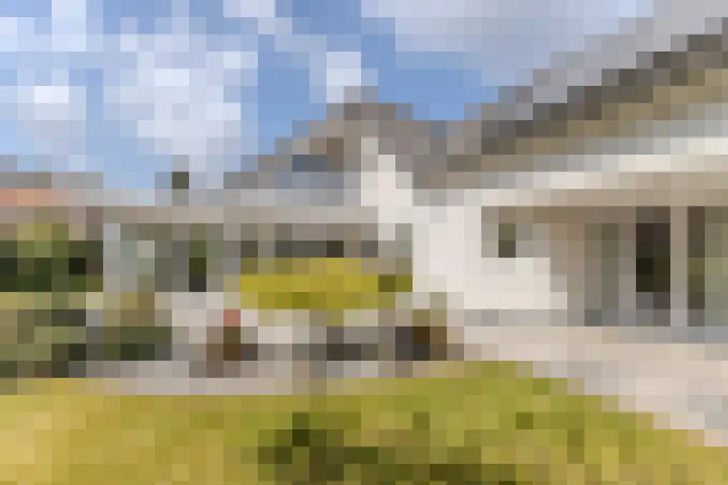 Hortensia 10 Valkenswaard thumbnail 34