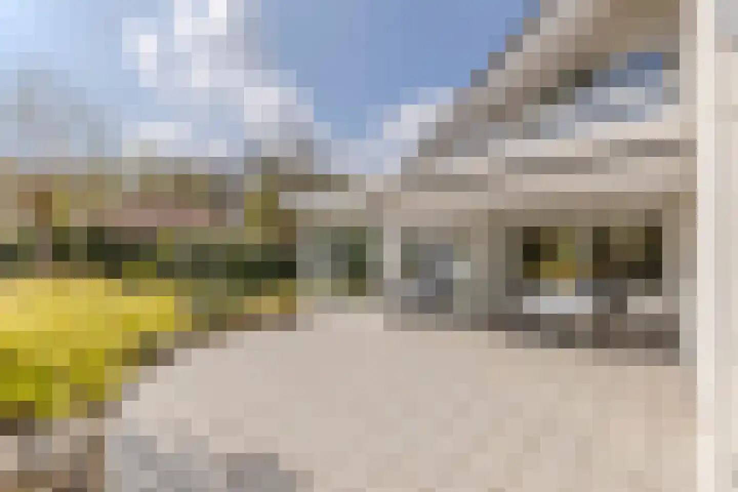 Hortensia 10 Valkenswaard thumbnail 35