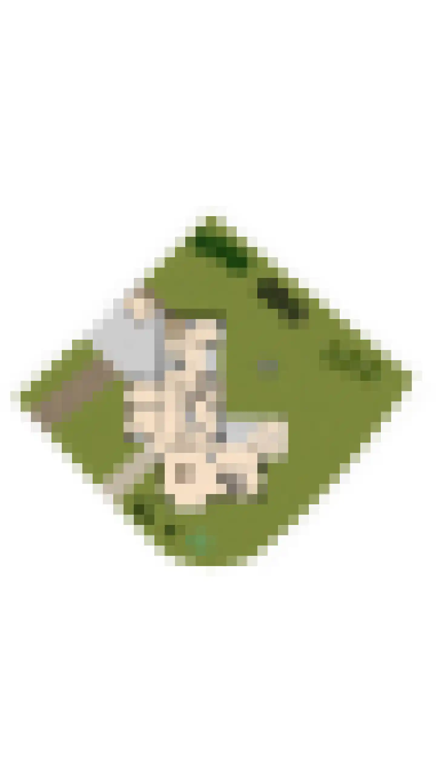 Hortensia 10 Valkenswaard thumbnail 39