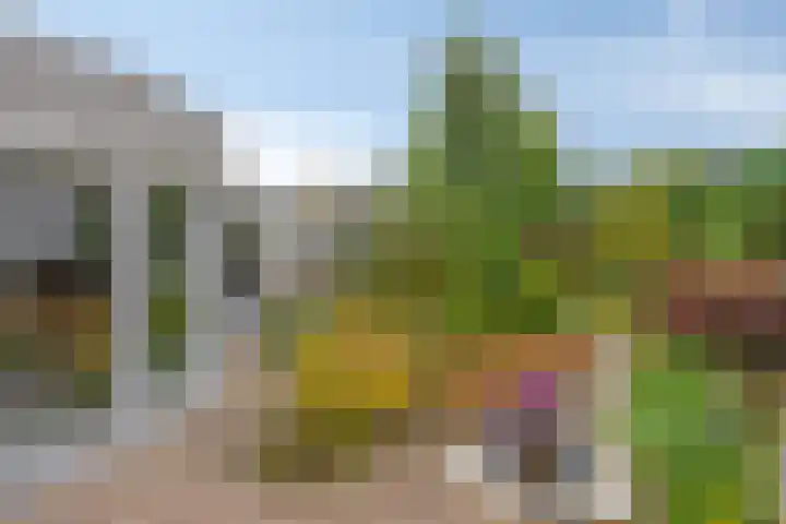 Hortensia 12 Valkenswaard thumbnail 33