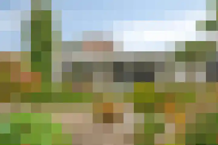 Hortensia 12 Valkenswaard thumbnail 35