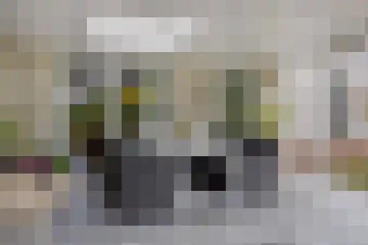 Hortensia 12 Valkenswaard thumbnail 36