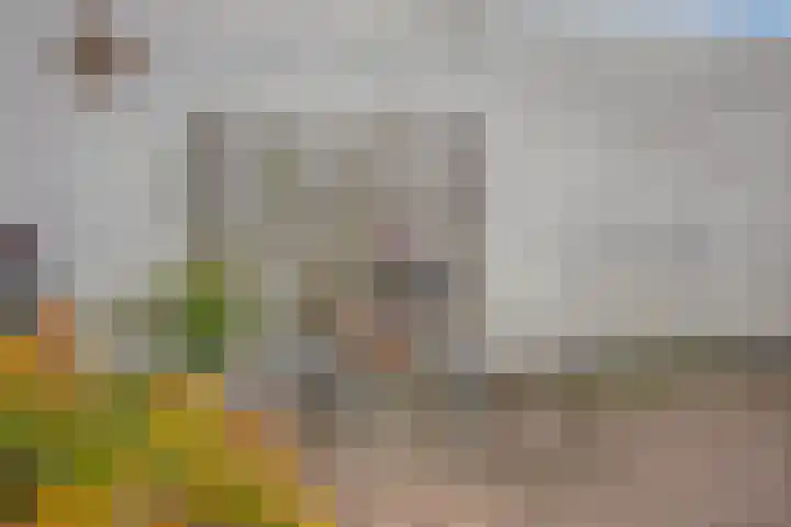 Hortensia 12 Valkenswaard thumbnail 39