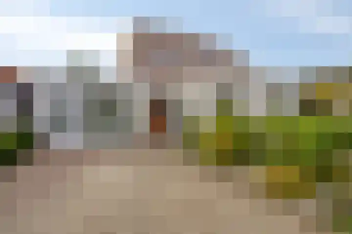 Hortensia 12 Valkenswaard thumbnail 41