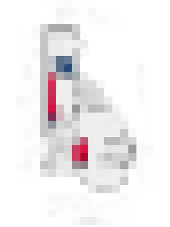 Hortensia 12 Valkenswaard thumbnail 44
