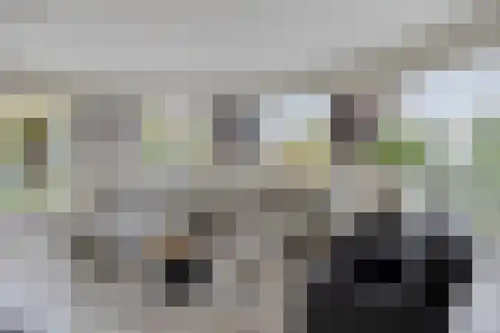 Hortensia 12 Valkenswaard thumbnail 6