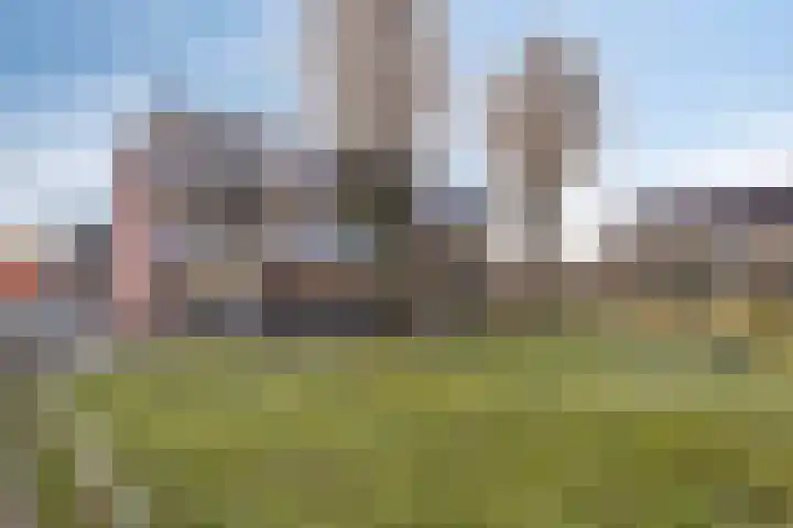 Hortensia 16 Veenendaal thumbnail 26