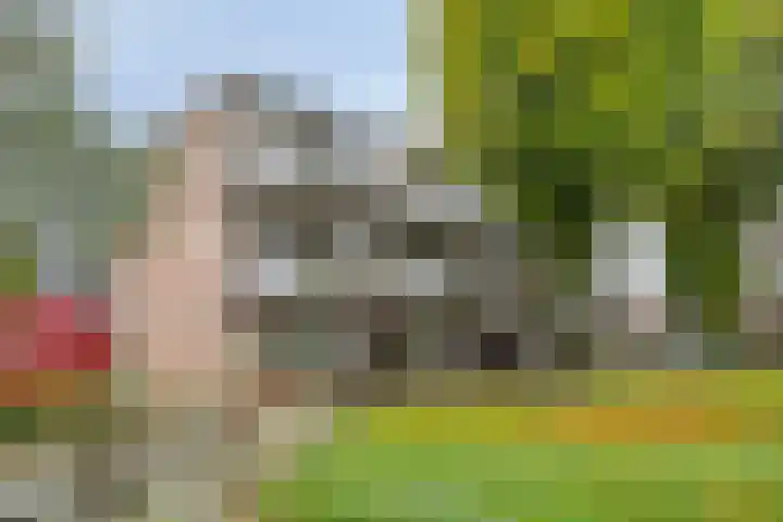 Hortensia 18 Veenendaal thumbnail 4