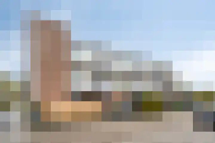 Hortensia 18 Veenendaal thumbnail 5