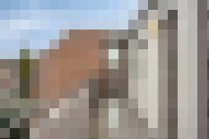 Hortensia 18 Veenendaal thumbnail 6