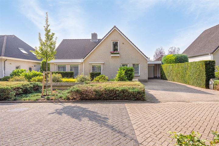 Hortensia 24 in Valkenswaard Foto