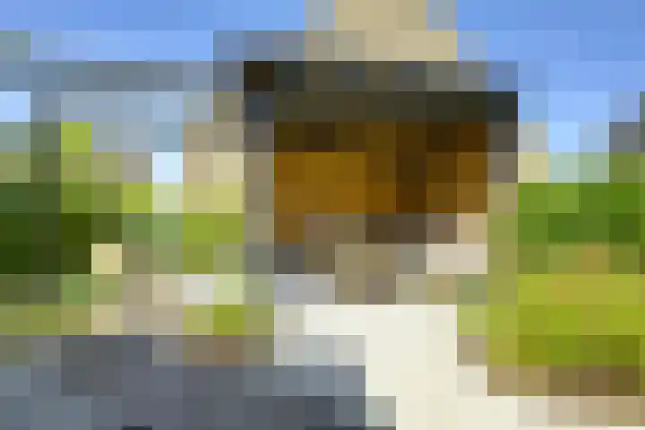 Hortensiaerf 13 Hoef en Haag thumbnail 4