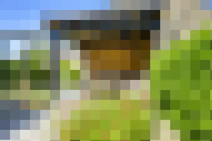 Hortensiaerf 13 Hoef en Haag thumbnail 58