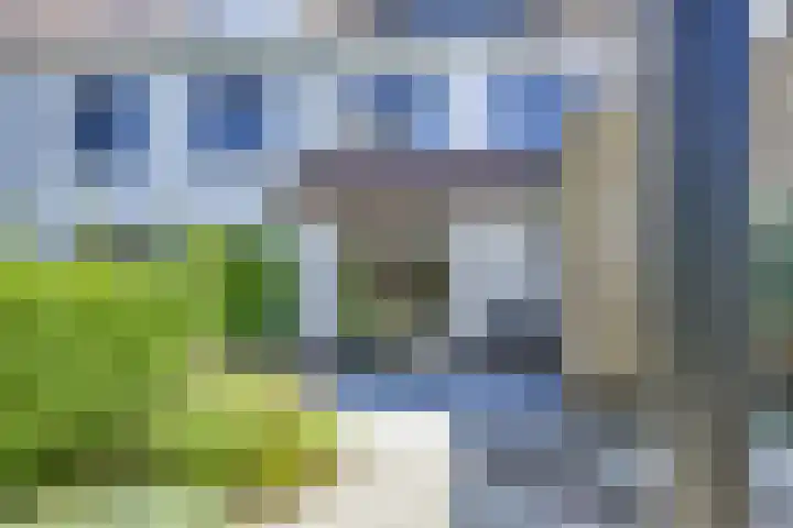 Hortensiaerf 13 Hoef en Haag thumbnail 61