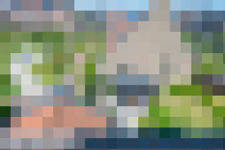 Hortensiaerf 13 Hoef en Haag thumbnail 64