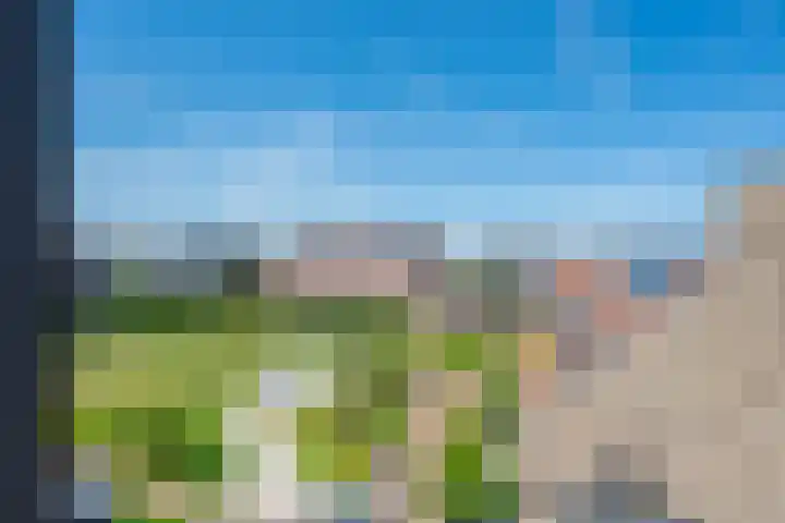 Hortensiaerf 13 Hoef en Haag thumbnail 65
