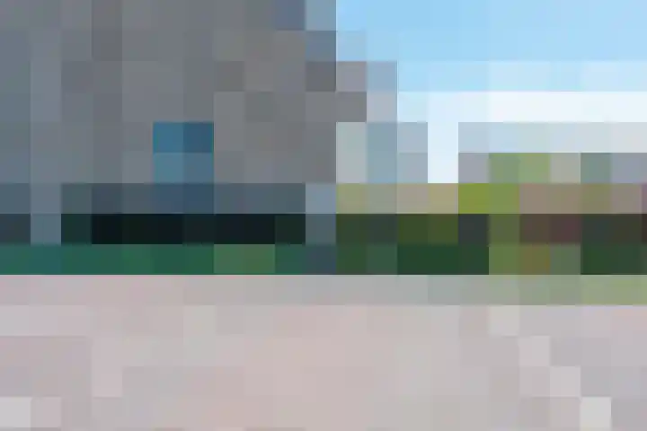Hortensiaerf 13 Hoef en Haag thumbnail 66