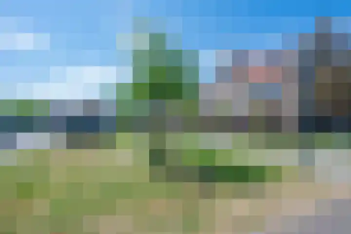 Hortensiaerf 13 Hoef en Haag thumbnail 69