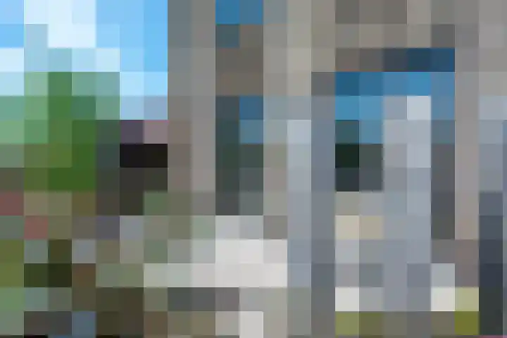 Hortensiaerf 13 Hoef en Haag thumbnail 70