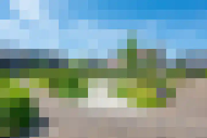 Hortensiaerf 13 Hoef en Haag thumbnail 72