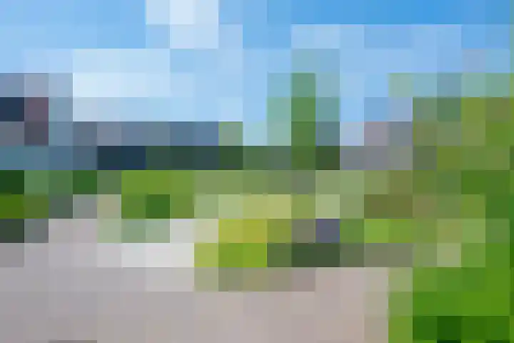 Hortensiaerf 13 Hoef en Haag thumbnail 73