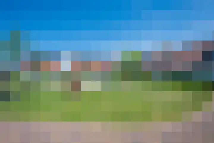 Hortensiaerf 13 Hoef en Haag thumbnail 74