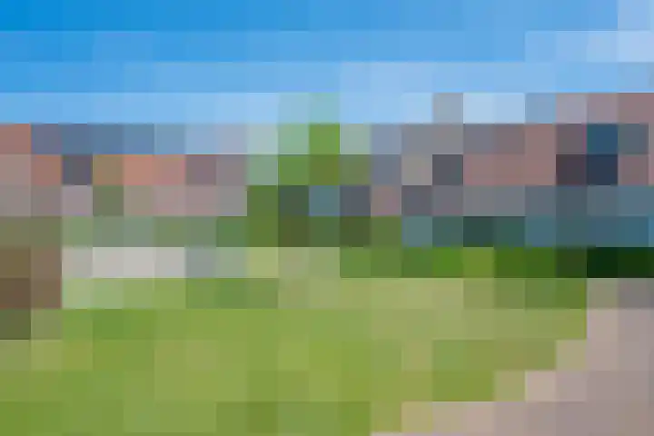 Hortensiaerf 13 Hoef en Haag thumbnail 75