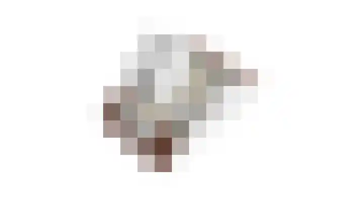 Hortensiaerf 13 Hoef en Haag thumbnail 85