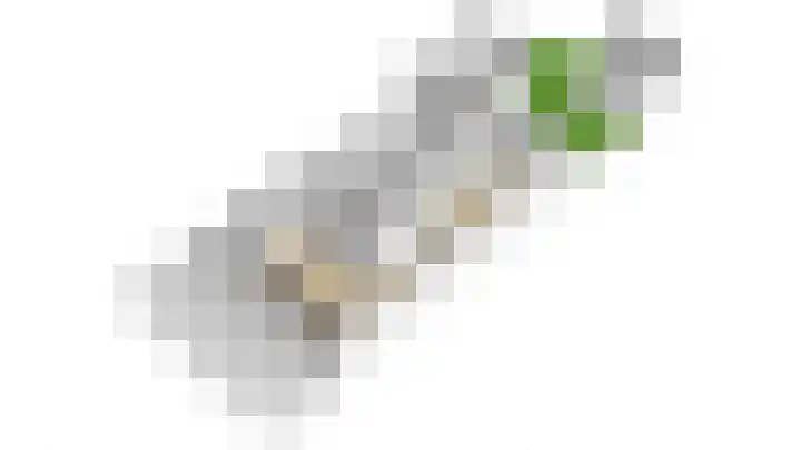 Hortensiaerf 13 Hoef en Haag thumbnail 90