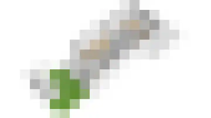 Hortensiaerf 13 Hoef en Haag thumbnail 91