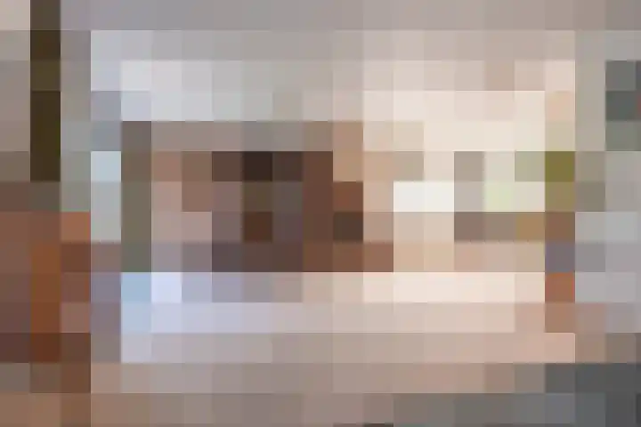 Hortensialaan 1 Beverwijk thumbnail 19